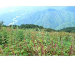 【ご近所さん歓迎】三重県三重郡菰野町菰野の御在所山の体験共有